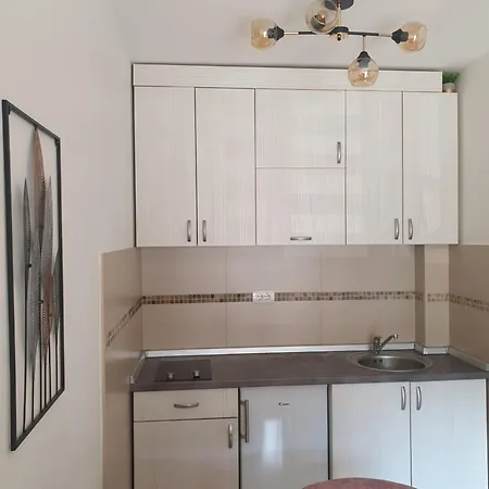 Апартаменты Banel *