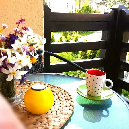 Διαμέρισμα Banel *